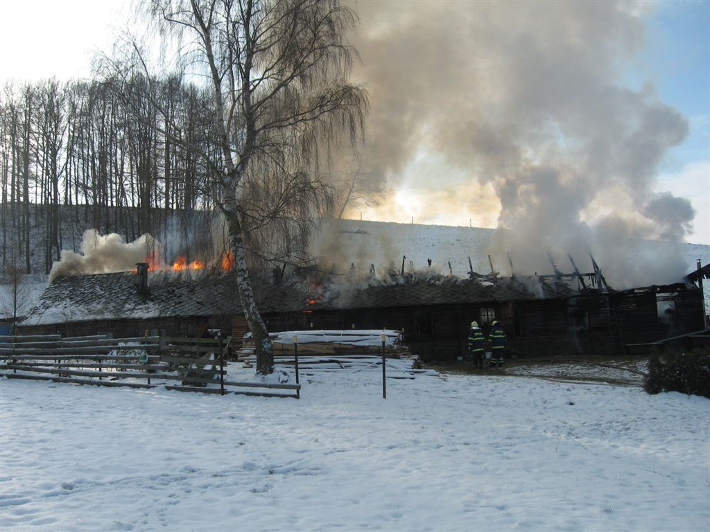 3.1.2010_v_10.26_salas_Bely_005.jpg