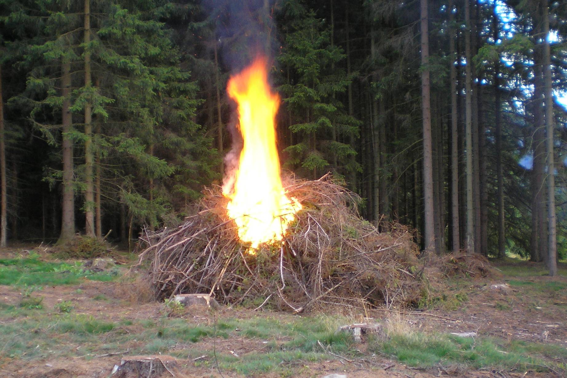 Image00021