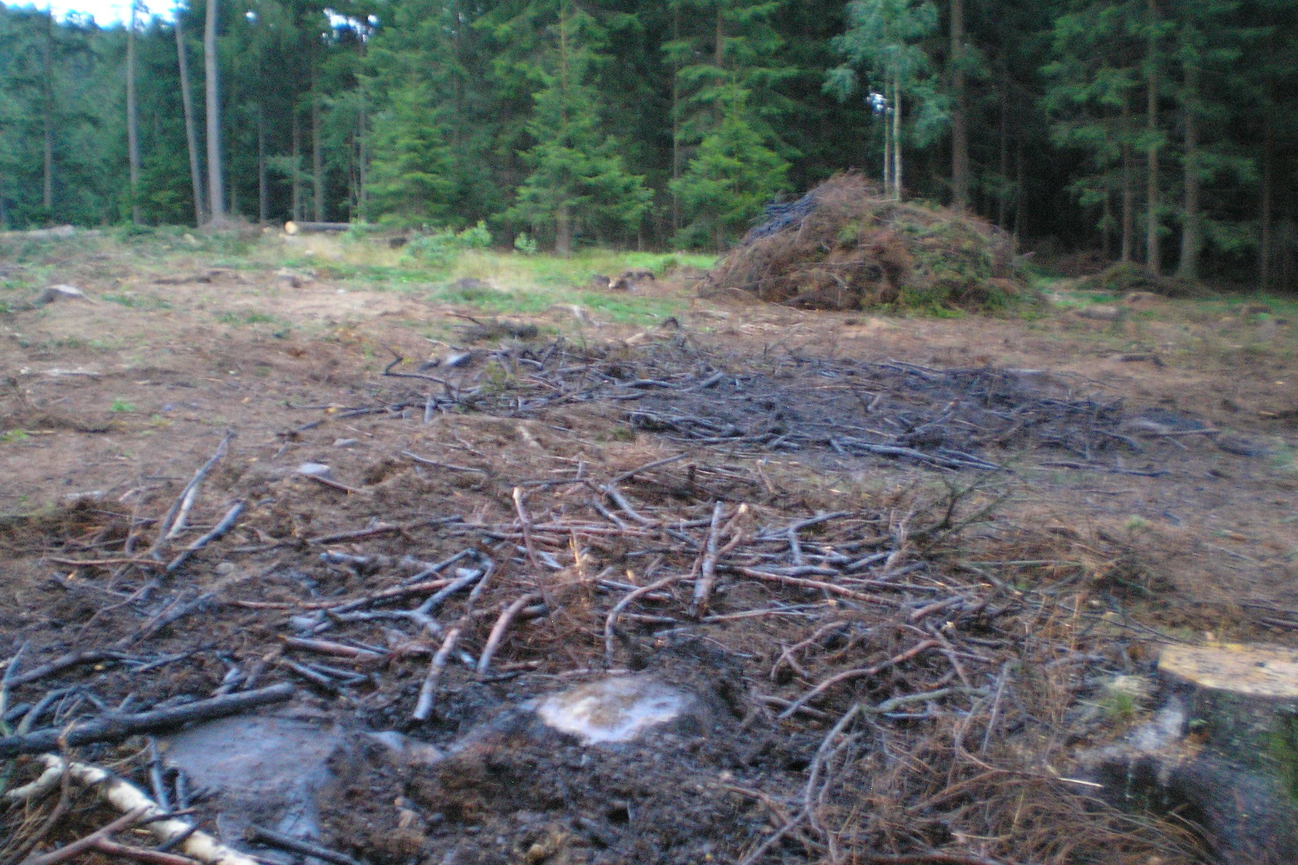 Image00044