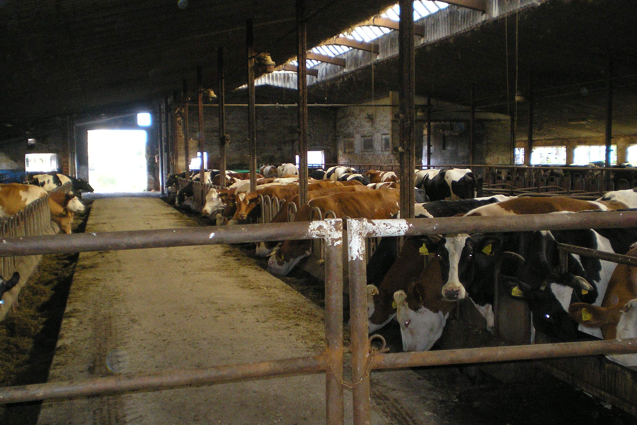 Image00016