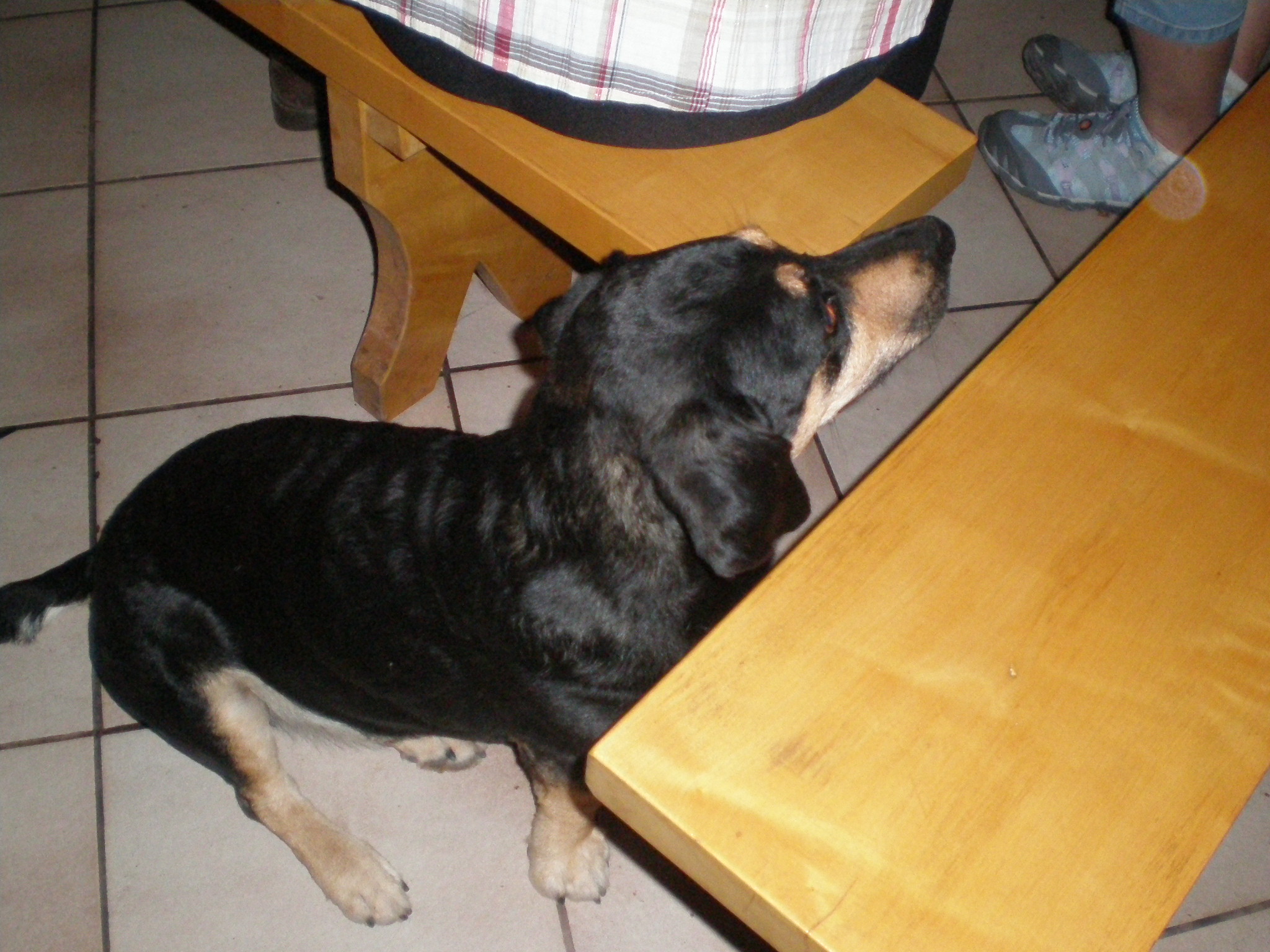 Snimek_140